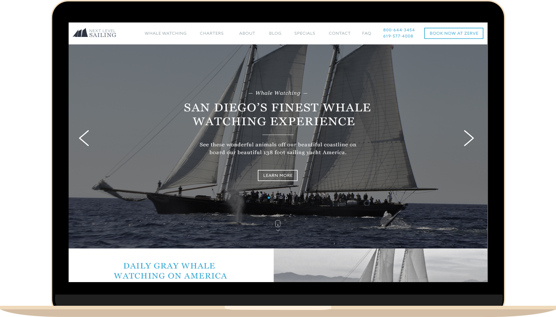 Next Level Sailing Website